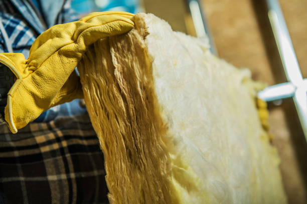 Best Eco-Friendly Insulation in Norton, VA